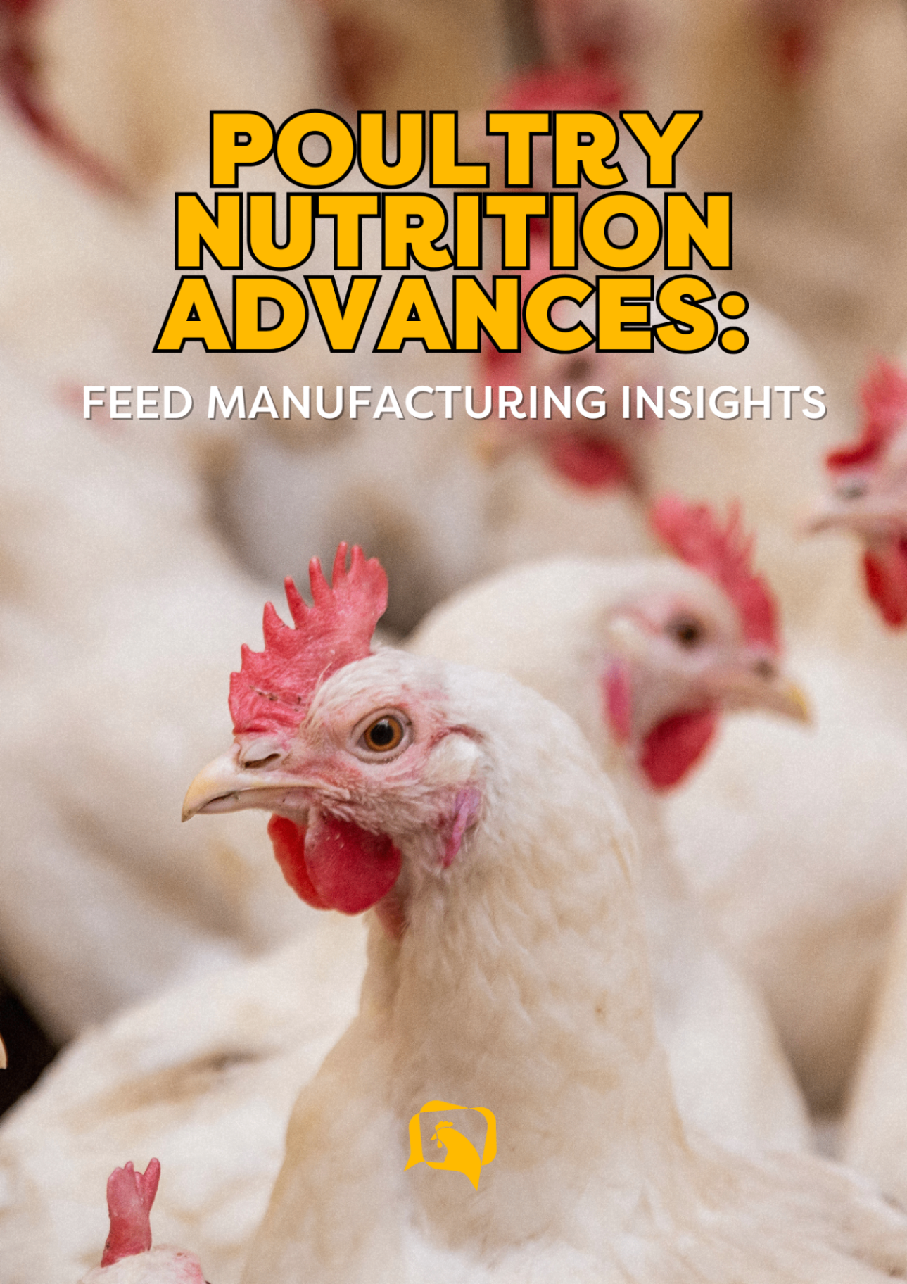 A guide to avian influenza – Five things you should know to succeed through the recent outbreaks e-book cover
