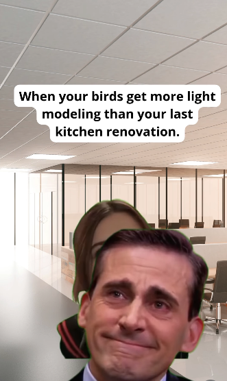 It's not overengineering, it's just smart poultry science.